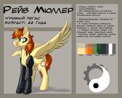 Size: 5000x4000 | Tagged: safe, artist:vincher, oc, oc only, oc:rave muller, cyborg, pegasus, pony, absurd resolution, cyrillic, male, mechanical legs, reference sheet, russian, solo, spread wings, stallion, wings