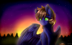 Size: 4300x2700 | Tagged: safe, artist:jazzerix, oc, oc only, pegasus, pony, eye clipping through hair, eyebrows, eyebrows visible through hair, high res, male, pegasus oc, smiling, solo, stallion, sunset