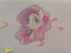 Size: 1024x770 | Tagged: safe, artist:pandan009, fluttershy, pony, g4, bust, female, photo, portrait, solo, traditional art