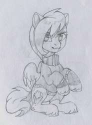 Size: 890x1211 | Tagged: safe, artist:share dast, oc, oc only, pegasus, pony, clothes, monochrome, pencil drawing, sketch, solo, sweater, traditional art