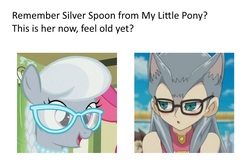 Size: 750x500 | Tagged: safe, silver spoon, earth pony, pony, g4, cathy catherine, meme, yu-gi-oh!, yu-gi-oh! zexal