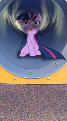 Size: 528x960 | Tagged: safe, artist:kysss90, artist:tokkazutara1164, twilight sparkle, pony, g4, curious, irl, looking up, photo, ponies in real life, shadow, solo, tunnel