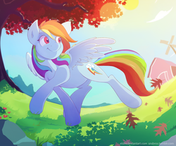 Size: 2834x2362 | Tagged: safe, artist:vesmirart, rainbow dash, pegasus, pony, g4, barn, crepuscular rays, female, high res, mare, scenery, solo, tree, windmill