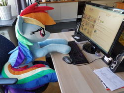 Size: 3024x2268 | Tagged: dead source, safe, artist:epicrainbowcrafts, rainbow dash, pegasus, pony, g4, bedroom eyes, computer, high res, irl, photo, plushie, solo