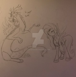 Size: 1024x1035 | Tagged: safe, artist:cocouri, discord, fluttershy, draconequus, pegasus, pony, g4, female, male, ship:discoshy, shipping, straight, watermark