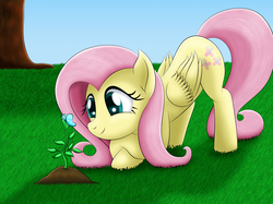 Size: 2885x2154 | Tagged: safe, artist:lifesharbinger, fluttershy, butterfly, pegasus, pony, g4, cute, female, folded wings, grass field, high res, looking at something, mare, scenery, shyabetes, smiling, solo, tree