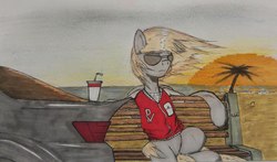 Size: 1714x1009 | Tagged: safe, artist:incrediblepanzer, derpy hooves, pegasus, pony, g4, beach, bench, car, clothes, female, jacket, mare, ocean, palm tree, sitting, solo, sun, sunglasses, traditional art, tree, wind, windswept mane