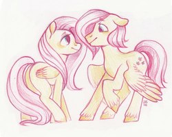 Size: 604x483 | Tagged: safe, artist:stockingstealer, fluttershy, pegasus, pony, g4, butterscotch, duo, rule 63, self ponidox, traditional art