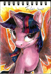 Size: 1024x1470 | Tagged: safe, artist:blazingstred, twilight sparkle, alicorn, pony, g4, female, frown, solo, spread wings, traditional art, twilight sparkle (alicorn), wings