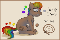 Size: 2103x1392 | Tagged: safe, artist:marsminer, oc, oc only, oc:whip crack, pony, rainbow hair, rainbow tail, reference sheet, solo