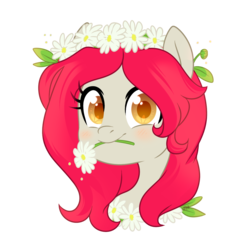 Size: 1250x1250 | Tagged: artist needed, safe, oc, oc only, oc:flaming passion, earth pony, pony, bust, cute, floral head wreath, flower, flower in mouth, mouth hold, portrait, simple background, solo, transparent background