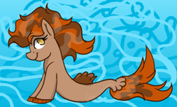 Size: 1024x623 | Tagged: safe, artist:jen-neigh, oc, oc only, oc:jen-neigh, merpony, pony, seapony (g4), dorsal fin, fins, fish tail, flowing tail, lying down, seaponified, signature, solo, species swap, tail, underwater, water