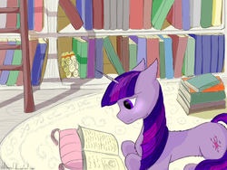 Size: 800x600 | Tagged: safe, artist:oldteaowl, twilight sparkle, pony, g4, female, reading, solo