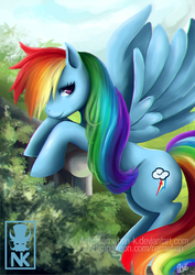 Size: 566x800 | Tagged: safe, artist:namwhan-k, rainbow dash, pony, g4, female, flying, solo