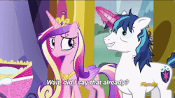 Size: 480x270 | Tagged: safe, screencap, princess cadance, shining armor, pony, a flurry of emotions, g4, animated, discovery family logo, gif, subtitles