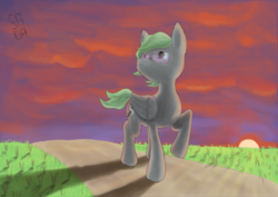 Size: 4960x3508 | Tagged: safe, artist:sgrayda, oc, oc only, pegasus, pony, absurd resolution, cloud, glasses, grass, raised hoof, solo, sun, sunset