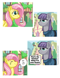 Size: 720x937 | Tagged: safe, artist:texasuberalles, fluttershy, maud pie, earth pony, pegasus, pony, g4, comic, duo, speech bubble