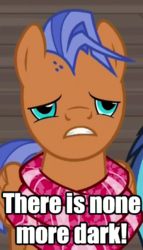 Size: 240x420 | Tagged: safe, screencap, spearhead, pegasus, pony, a flurry of emotions, g4, image macro, male, meme, none more dark, reaction image, solo, stallion