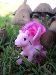 Size: 1280x1707 | Tagged: safe, artist:travelling-my-little-pony, heart throb, g1, fungus, grass, irl, mushroom, outdoors, photo, photography, toadstool, toy