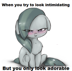 Size: 1593x1578 | Tagged: safe, artist:buttersprinkle, edit, marble pie, earth pony, pony, adorable face, angry, blushing, chest fluff, cute, female, looking at you, madorable, marblebetes, meme, pouting, scrunchy face, simple background, solo, text, text edit, white background