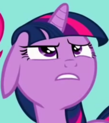 Size: 453x512 | Tagged: safe, screencap, twilight sparkle, pony, g4, read it and weep, concerned, cropped, female, mare, reaction image, solo