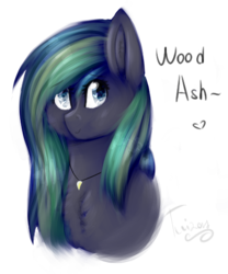 Size: 434x521 | Tagged: safe, artist:twinkepaint, oc, oc only, oc:wood ash, earth pony, pony, bust, female, mare, portrait, simple background, solo, transparent background