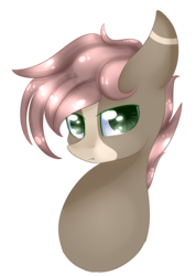 Size: 1279x1795 | Tagged: safe, artist:php146, oc, oc only, oc:hawk, pony, bust, male, portrait, simple background, solo, stallion, transparent background