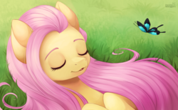 Size: 3250x2000 | Tagged: safe, artist:exceru-karina, fluttershy, butterfly, pegasus, pony, g4, bust, cute, eyes closed, female, grass, high res, hooves to the chest, lying down, mare, on back, outdoors, portrait, shyabetes, sleeping, smiling, solo