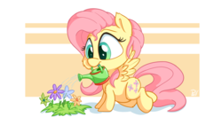 Size: 3840x2160 | Tagged: safe, artist:pirill, fluttershy, pony, g4, chibi, cute, female, flower, fluttershy day, high res, looking at something, looking down, shyabetes, simple background, solo, spread wings, watering, watering can, wings