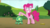 Size: 1920x1080 | Tagged: safe, screencap, pinkie pie, tank, earth pony, pony, tortoise, g4, my little pony: friendship is magic, rock solid friendship, season 7, animal, discovery family logo