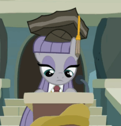 Size: 273x283 | Tagged: safe, screencap, maud pie, earth pony, pony, g4, rock solid friendship, animated, cropped, female, gif, graduation cap, hat, solo