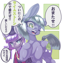Size: 3500x3500 | Tagged: safe, artist:kaikoinu, limestone pie, maud pie, earth pony, pony, g4, rock solid friendship, dialogue, duo, female, high res, japanese, looking at you, mare, one eye closed, sisters, smiling, speech bubble, that was fast, translated in the comments