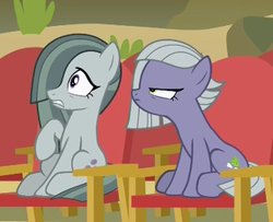 Size: 356x289 | Tagged: safe, screencap, limestone pie, marble pie, earth pony, pony, g4, rock solid friendship, cropped, glare, limestone pie is not amused, unamused