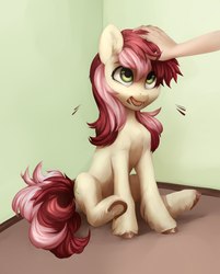 Size: 1739x2160 | Tagged: safe, artist:aphphphphp, roseluck, earth pony, human, pony, g4, commissioner:doom9454, cute, female, fluffy, human on pony petting, mare, offscreen character, offscreen human, petting, pony pet, rosepet, sitting, underhoof, unshorn fetlocks