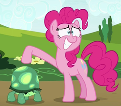 Size: 451x393 | Tagged: safe, screencap, pinkie pie, tank, pony, g4, rock solid friendship, animal, cropped, grin, nervous, nervous smile, smiling