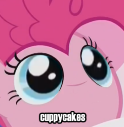 Size: 268x274 | Tagged: safe, edit, edited screencap, screencap, pinkie pie, earth pony, pony, g4, rock solid friendship, cuppycakes, female, meme, no nose, solo