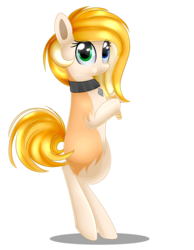 Size: 1921x2473 | Tagged: safe, artist:akarui-orenji, oc, oc only, oc:noroi, earth pony, pony, bipedal, collar, female, heterochromia, mare, pet tag, simple background, solo, transparent background