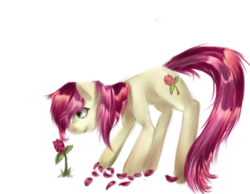 Size: 4500x3487 | Tagged: safe, artist:xxspidersilkxx, roseluck, earth pony, pony, g4, female, flower, high res, mare, rose, simple background, solo, transparent background