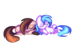 Size: 900x675 | Tagged: dead source, safe, artist:wubcakeva, oc, oc only, oc:angel, oc:cupcake slash, earth pony, pegasus, pony, cute, ponified, simple background, sleeping, transparent background