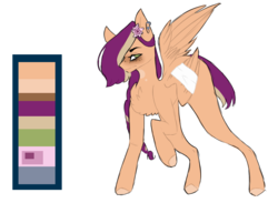 Size: 800x585 | Tagged: safe, artist:thunderstorm210, oc, oc only, oc:bunrise, pegasus, pony, bandage, injured, reference sheet, simple background, solo, transparent background