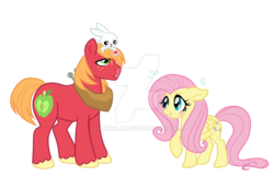 Size: 1024x663 | Tagged: safe, artist:arxielle, angel bunny, big macintosh, fluttershy, earth pony, pony, g4, blushing, love note, male, ship:fluttermac, shipping, stallion, straight, sweat, watermark