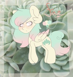 Size: 1750x1845 | Tagged: safe, artist:themodpony, oc, oc only, pegasus, pony, solo