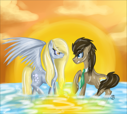 Size: 1333x1200 | Tagged: safe, artist:sevenada, derpy hooves, doctor whooves, time turner, pegasus, pony, g4, female, male, mare, ship:doctorderpy, shipping, straight, water, wet mane