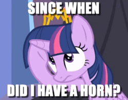 Size: 344x270 | Tagged: safe, edit, edited screencap, screencap, twilight sparkle, alicorn, pony, equestria games (episode), g4, amnesia, confused, female, frown, horn, image macro, looking up, mare, meme, memory loss, poking, question, rubbing, sitting, solo, throne, twilight sparkle (alicorn), underhoof, wide eyes