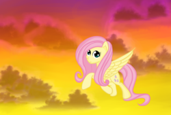 Size: 1600x1080 | Tagged: safe, artist:silversthreads, fluttershy, pegasus, pony, g4, cloud, cute, female, mare, solo, sunset