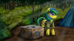 Size: 1920x1080 | Tagged: safe, artist:leonkay, oc, oc only, oc:compass, pony, camping, clothes, forest, glasses, scenery, solo