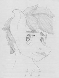 Size: 3296x4334 | Tagged: safe, artist:andandampersand, oc, oc only, oc:chip, pony, bust, facial hair, grayscale, high res, monochrome, portrait, solo, traditional art