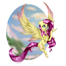 Size: 1024x1024 | Tagged: safe, artist:symphstudio, fluttershy, butterfly, pony, g4, chest fluff, cloud, colored wings, colored wingtips, female, insect on nose, large wings, mare, simple background, sky, smiling, solo, spread wings, transparent background, wings