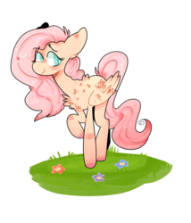 Size: 1029x1201 | Tagged: safe, artist:secretwanderlust, artist:sugarysharky, fluttershy, pony, g4, chest fluff, female, folded wings, looking away, looking sideways, raised hoof, simple background, solo, standing, transparent background