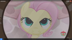 Size: 1920x1080 | Tagged: safe, screencap, fluttershy, pony, fluttershy leans in, g4, female, mare, solo